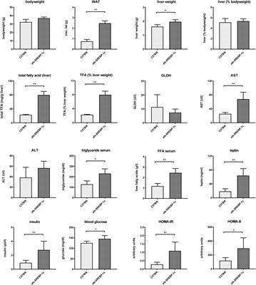 Fatty Liver Due to Increased de novo Lipogenesis: Alterations in the Hepatic Peroxisomal Proteome